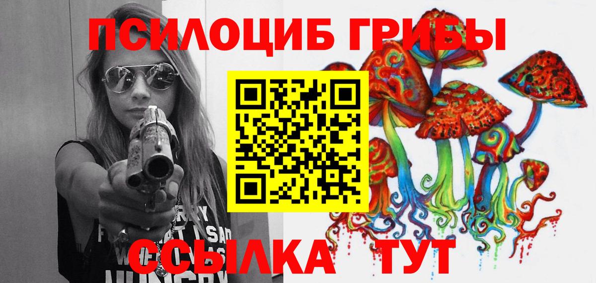 Новоалександровск  Галлюциногенные грибы MAGIC MUSHROOMS  Вход с VPN 